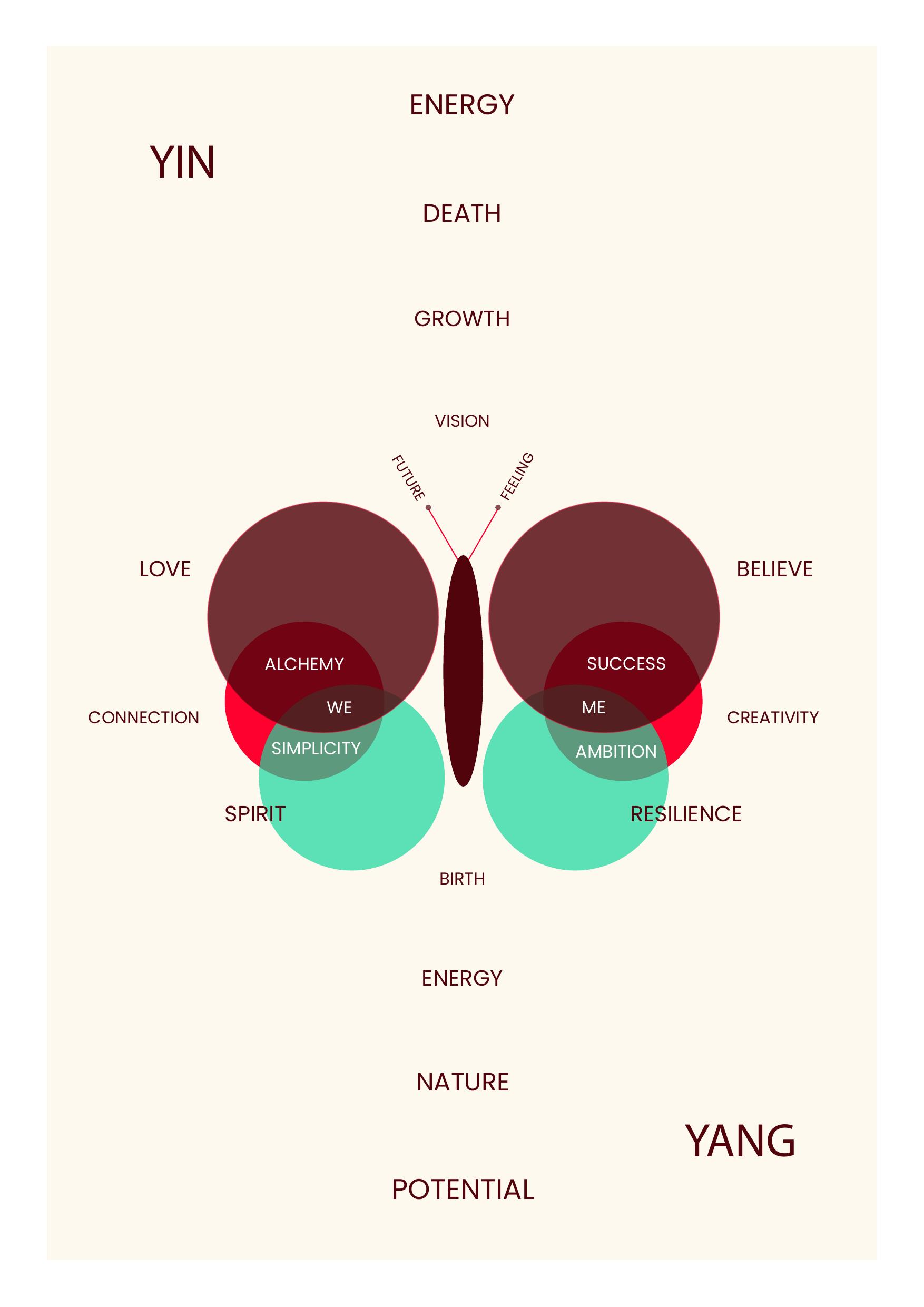 Yin Yang — energy diagram