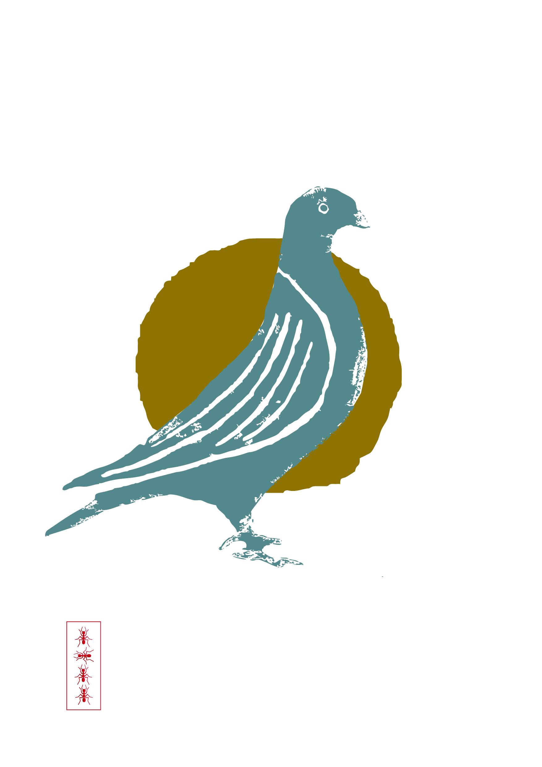 Pigeon — teal on gold circle